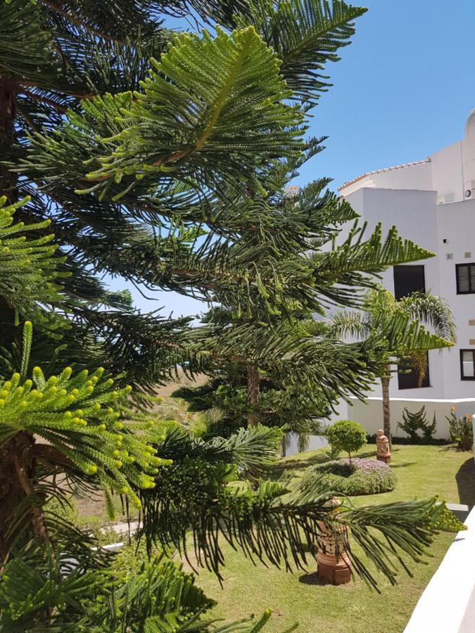 Apartamento Lujo Calaceite Торокс Екстериор снимка